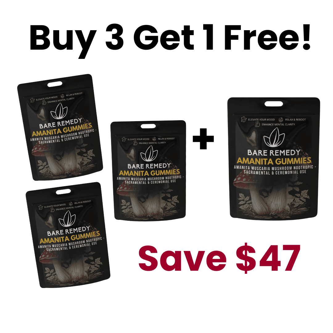 3+1 Free Amanita Gummies