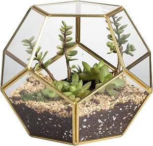 Glass Geometric Terrarium