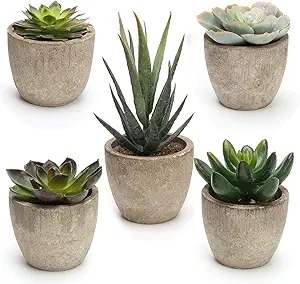 Faux Succulent Garden Set