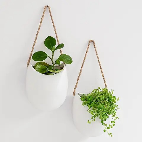 Hanging Wall Planter